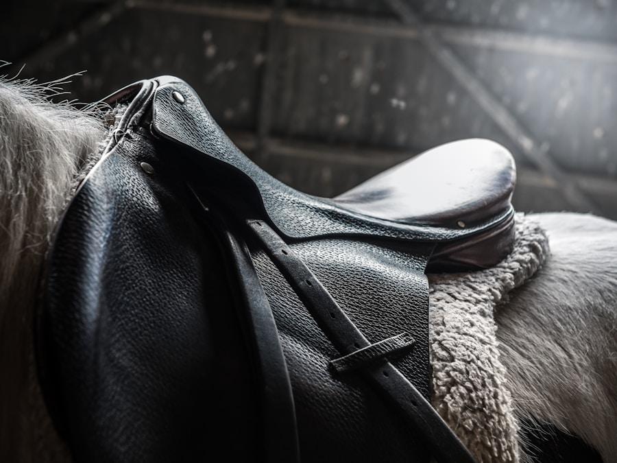 Schleese Infinity Dressage Saddle 17.5" 3