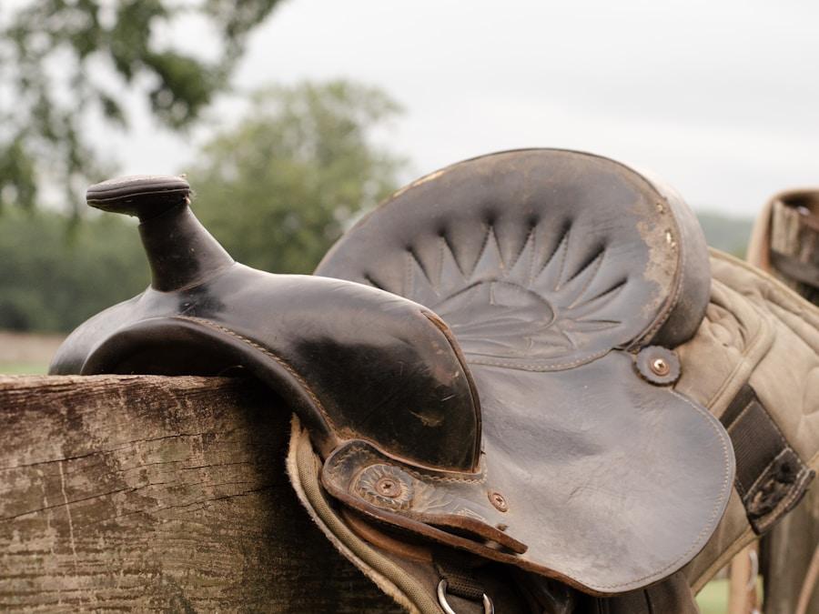 CWD SE02 Jump Saddle 17" Narrow 2