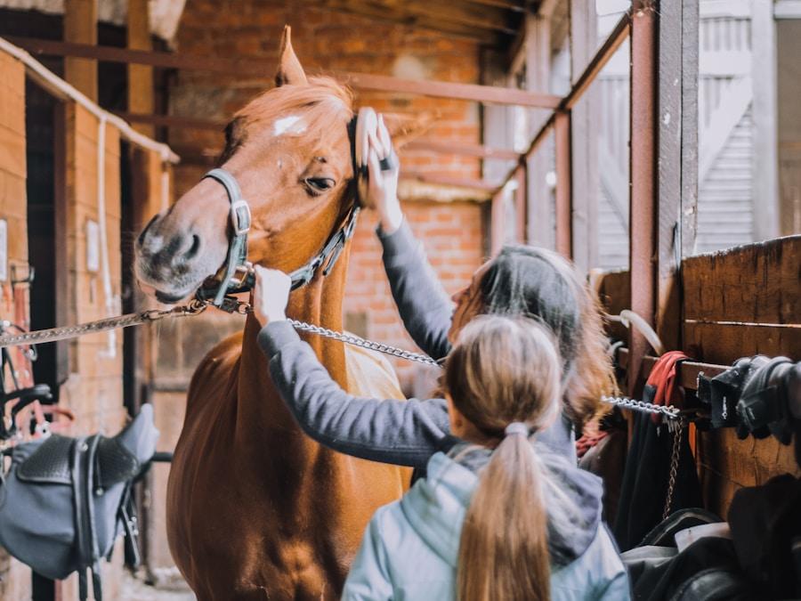 CWD SE02 Jump Saddle 17" Narrow 3