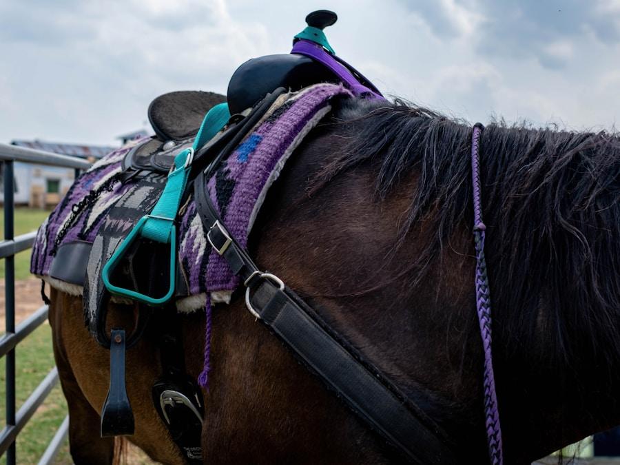 Pessoa A/O Jump Saddle 17.5" MW 2